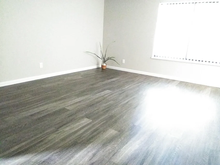 Somerset Apartments photo 2